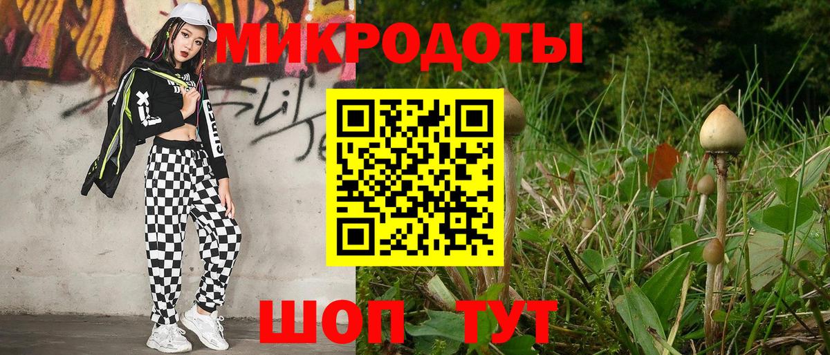 Красноармейск  Псилоцибиновые грибы мухоморы  Галлюциногенные грибы GOLDEN TEACHER  Вход с VPN 