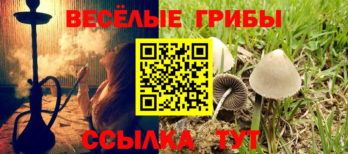 Галлюциногенные грибы мицелий Красноармейск